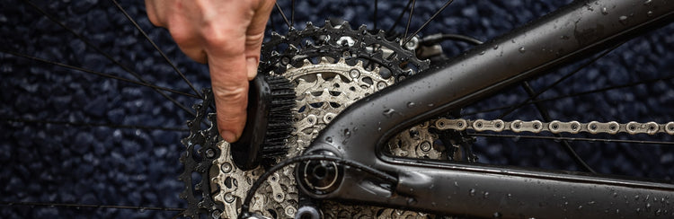 Trasmissione Bici
