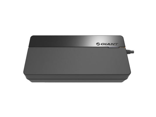 GIANT Energypak smart Charger caricabatterie 6V ebike