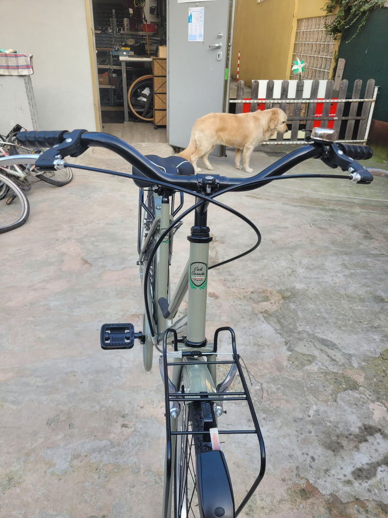 Load image into Gallery viewer, CASADEI VENERE OLANDA IN ACCIAIO 1V 26" DA DONNA GRIGIO MUSCHIO