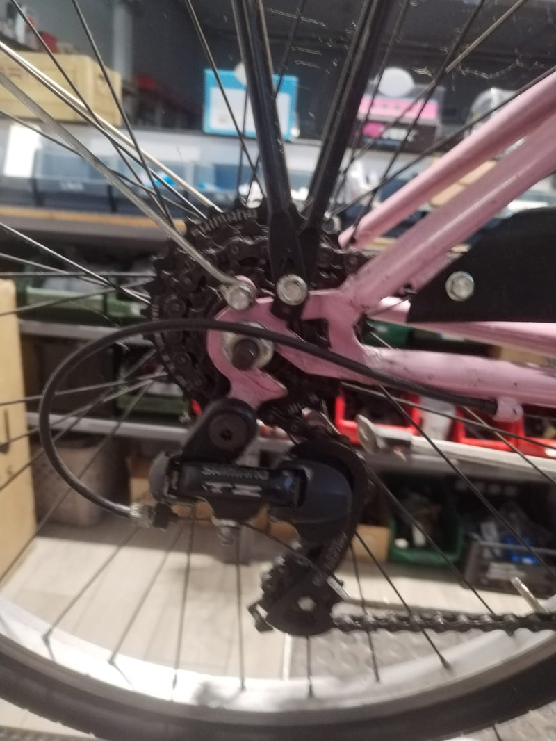 Carica immagine in Galleria Viewer, BICI CICLO SPORT OLANDA CITY TREKKING 26"X1.50 TAGLIA S ARGENTO-ROSA USATO-REVISIONATO