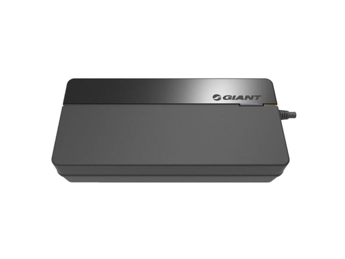 GIANT Energypak Charger caricabatterie 4V compact