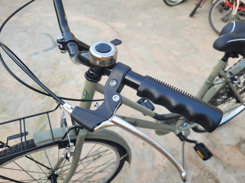 Load image into Gallery viewer, CASADEI VENERE OLANDA IN ACCIAIO 1V 26" DA DONNA GRIGIO MUSCHIO
