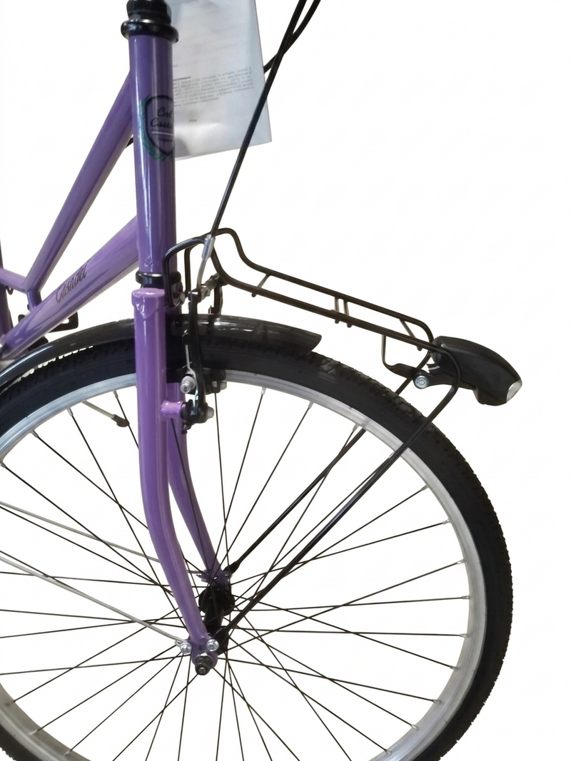 Carica immagine in Galleria Viewer, CASADEI CITY BIKE OLANDA DONNA 26" 1 VELOCITA' LILLA
