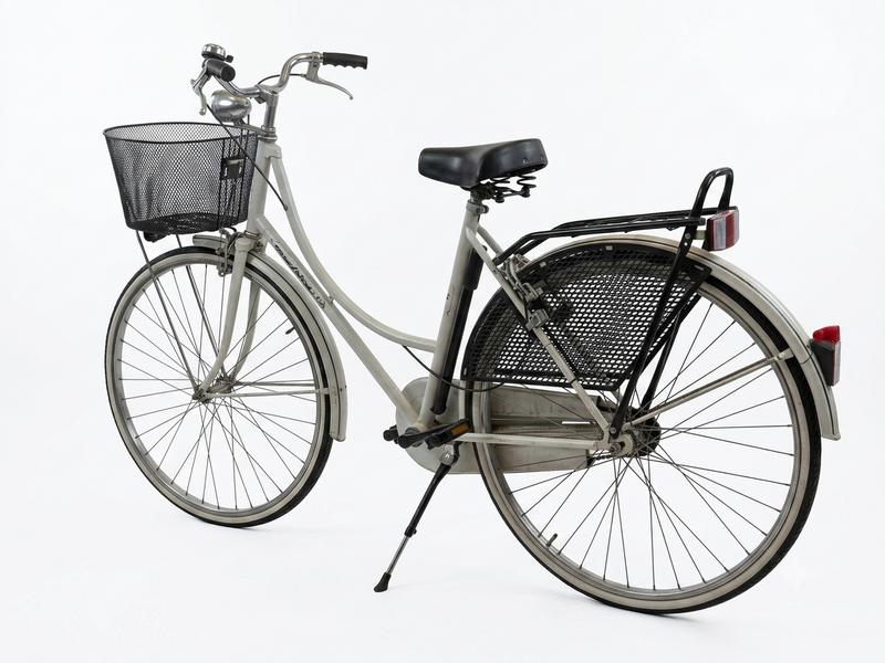 Load image into Gallery viewer, BICI DA CITTA' DONNA OLANDA 1V ACCIAIO USATO-REVSIONATO
