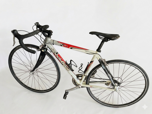 BICI DA STRADA SHOCKBLAZE RSV107 TG XS USATO IN CONTO-VENDITA