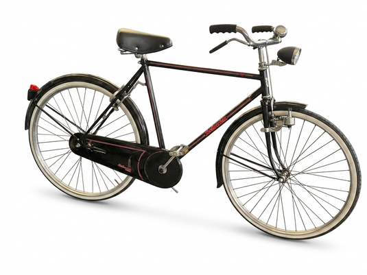 BOTTECCHIA BICI UOMO CITTA' BACCHETTA TG.M NERO USATO-REVISIONATO