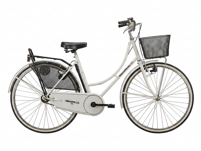 Load image into Gallery viewer, BICI DA CITTA' DONNA OLANDA 1V ACCIAIO USATO-REVSIONATO
