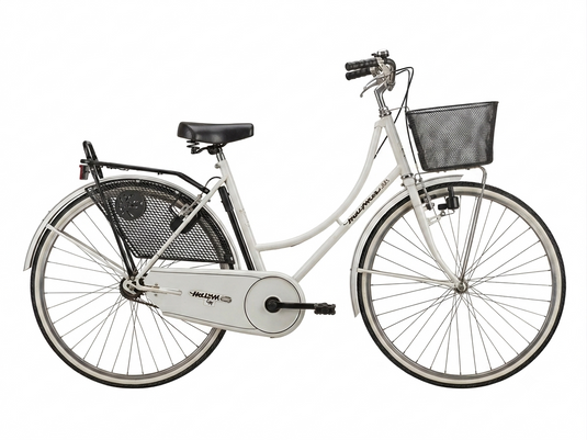 BICI DA CITTA' DONNA OLANDA 1V ACCIAIO USATO-REVSIONATO