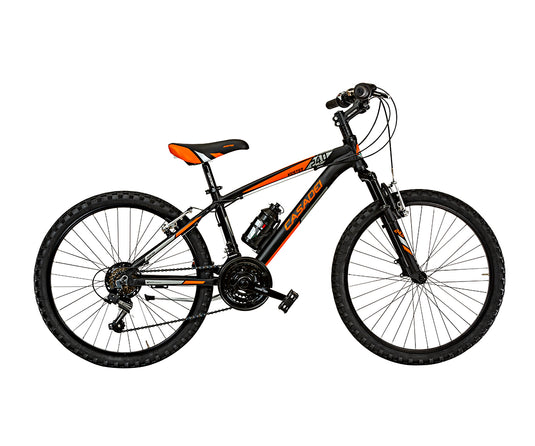 CASADEI KUSTER BICI MTB 24