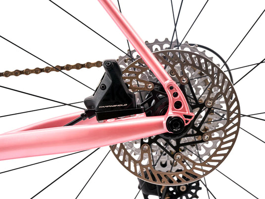 Cinelli nemo gravel store